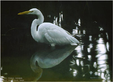 Robert Bateman Limited Edition Paper Print:"Mangrove Shadow-Common Egret"