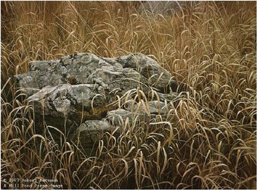 Robert Bateman Limited Edition Paper Print:"Near Glenburnie"