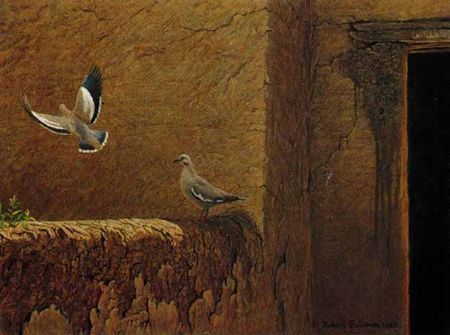 Robert Bateman Limited Edition Paper Print:"Old Adobe - White Winged Doves"