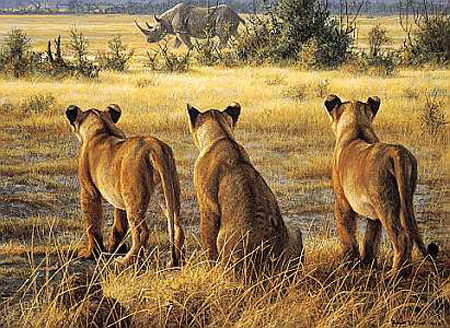 Robert Bateman Limited Edition Paper Print:"Passing Fancy-Lion Cubs And Rhino"