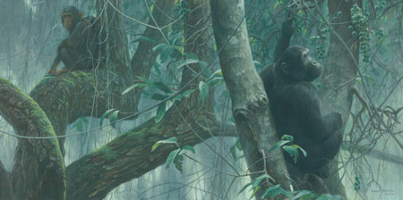 Robert Bateman Limited Edition Print:"At Mahale - Chimpanzees"