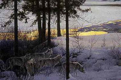 Robert Bateman Limited Edition Print: "Edge of Night"