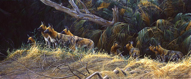 Robert Bateman Limited Edition Print: "Painted Dogs"