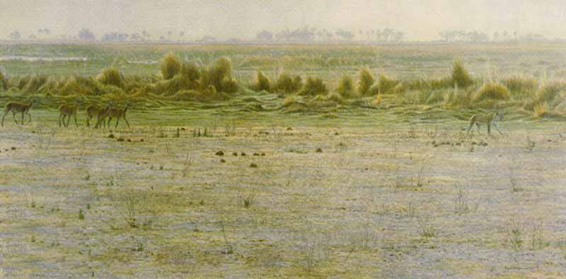 Robert Bateman Limited Edition Print:Peacable Kingdom: "Lechwe and Lioness"