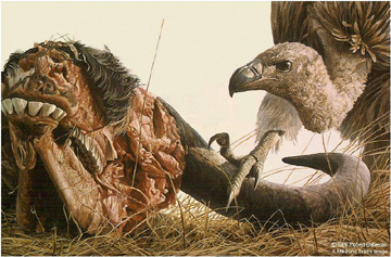 Robert Bateman Limited Edition Print:"Vulture And Wildebeest"