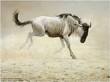 Robert Bateman Limited Edition Print:"Wildebeest"