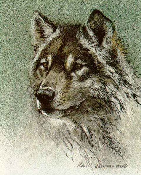 Robert Bateman Limited Edition Print:"Wolf Set - Predator Portfolio"