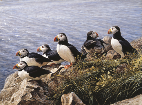 Robert Bateman Artist Signed Limited Edition Canvas Giclee:"Bright Day - Atlantic Puffins" 