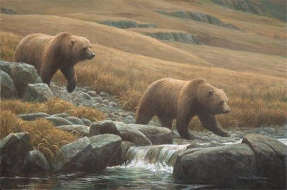 Robert Bateman Limited Edition Signed and Numbered Canvas Giclee:"Courting Grizzlies"