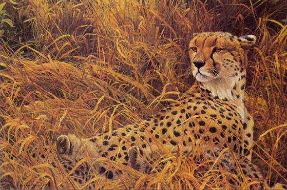 ROBERT BATEMAN  Secondary Market Art: "CHEETAH WITH CUBS"