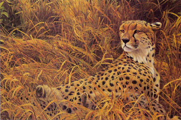 ROBERT BATEMAN  Secondary Market Art: "CHEETAH WITH CUBS AP"