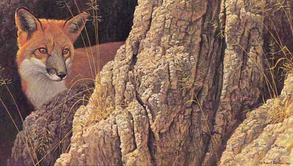 ROBERT BATEMAN  Secondary Market Art: "CURIOUS GLANCE FOX AP"
