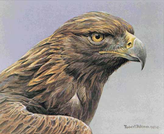 ROBERT BATEMAN  Secondary Market Art: "GOLDEN EAGLE PORT"