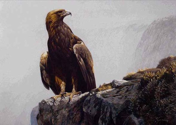 ROBERT BATEMAN  Secondary Market Art: "IN HIGHLANDS EAGLE"