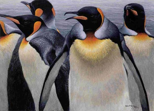 ROBERT BATEMAN  Secondary Market Art: "KING PENGUINS AP"