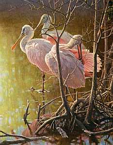 ROBERT BATEMAN  Secondary Market Art: "MANGROVE MORNING"