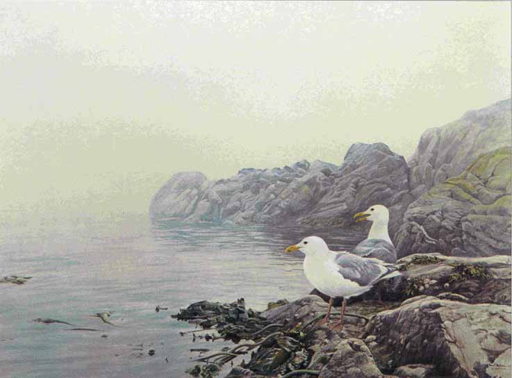 ROBERT BATEMAN  Secondary Market Art: "MISTY COAST GULLS"