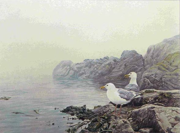 ROBERT BATEMAN  Secondary Market Art: "MISTY COAST GULLS"