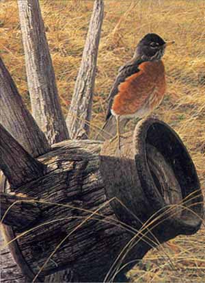 ROBERT BATEMAN  Secondary Market Art: "NEW SEASON ROBIN" | Out of Stock