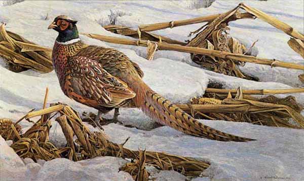 ROBERT BATEMAN  Secondary Market Art: "PHEASANT CORNFIELD"