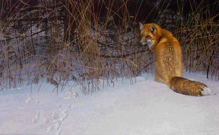 ROBERT BATEMAN  Secondary Market Art: "RED FOX ON PROWL"