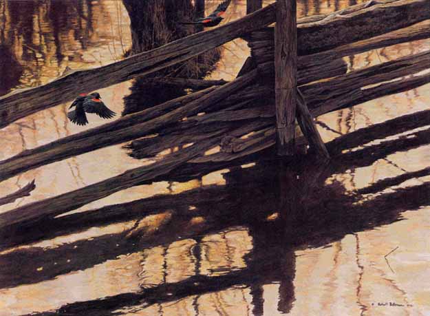 ROBERT BATEMAN  Secondary Market Art: "RED WINGED BLACKBIRD"