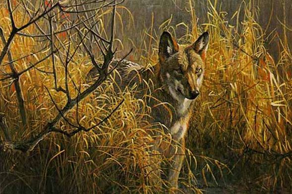ROBERT BATEMAN  Secondary Market Art: "RED WOLF"