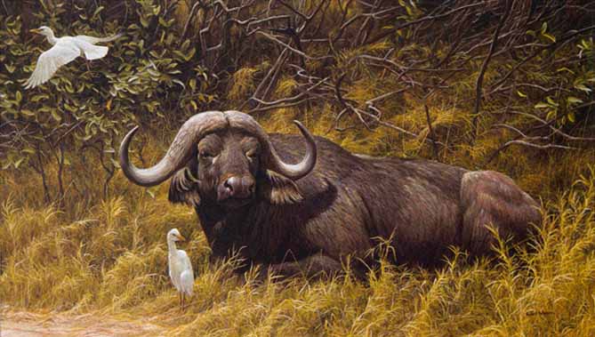 ROBERT BATEMAN  Secondary Market Art: "RESTING PLACE BUFFALO"