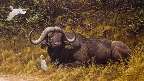 ROBERT BATEMAN  Secondary Market Art: "RESTING PLACE BUFFALO"