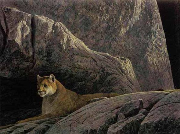 ROBERT BATEMAN  Secondary Market Art: "ROCKY WILDERNESS"