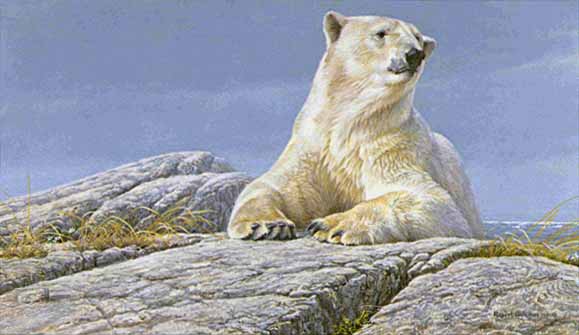 ROBERT BATEMAN  Secondary Market Art: "SUMMERTIME POLAR BEAR"