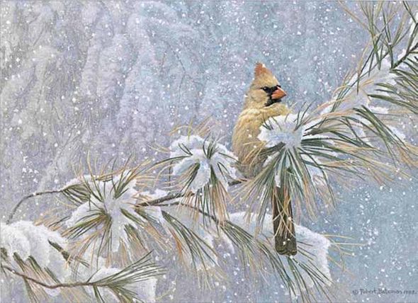 ROBERT BATEMAN  Secondary Market Art: "WINTER LADY CARDINA PP"