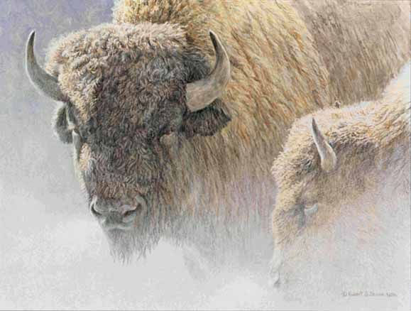 ROBERT BATEMAN  Secondary Market Art: "WOOD BISON PORTRAIT"