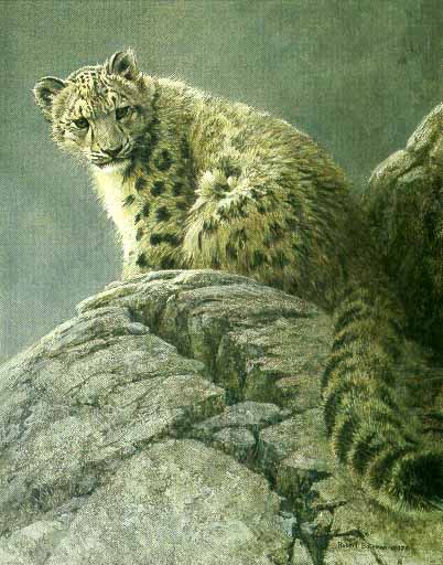 ROBERT BATEMAN  Secondary Market Art: "YOUNG SNOW LEOPARD"