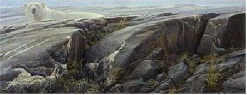 Robert Bateman Signed and Numbered Limited Edition Lithograph: "Arctic Landscape"