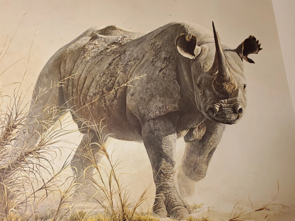 Robert Bateman Signed and Numbered Limited Edition Lithograph: "Charging Rhino"