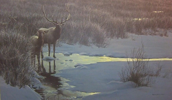 Robert Bateman Signed and Numbered Limited Edition Lithograph: "Evening Light Elk"