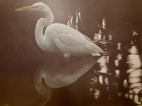 Robert Bateman Signed and Numbers Limited Edition Lithograph: "Mangrove Shadow - Common Egret"
