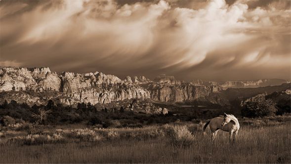 Robert Dawson 20 x 35 Open Edition Signed Giclee on Canvas:"On the Utah Plains"
