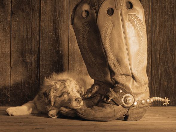 Robert Dawson 24 x 32 Open Edition Signed Giclee on Canvas:"Dixie Sepia"