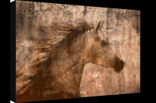 Robert Dawson 24 x 36 Canvas Giclee Art:"Arab Prancer"