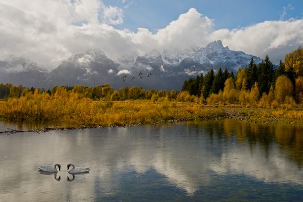 Robert Dawson 24 x 36 Open Edition Signed Giclee on Canvas:"At First Sight"