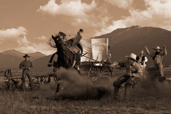 Robert Dawson 24 x 36 Open Edition Signed Giclee on Canvas:"Bucking the Biscuits"