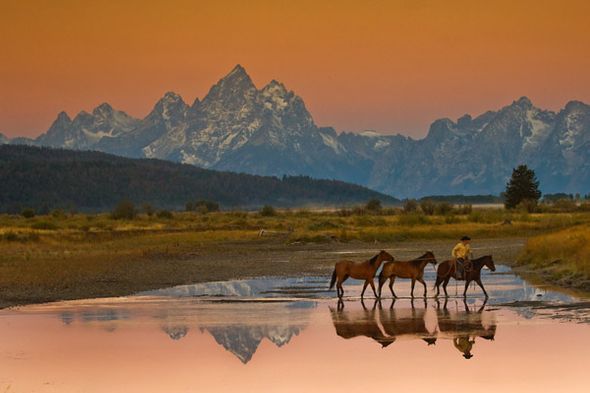 Robert Dawson 24 x 36 Open Edition Signed Giclee on Canvas:"Early Morning"