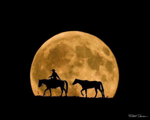 Robert Dawson 24 x 36 Open Edition Signed Giclee on Canvas:"Full Moon Ride"