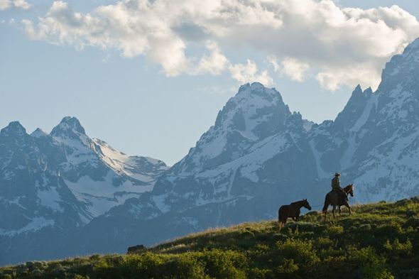 Robert Dawson 24 x 36 Open Edition Signed Giclee on Canvas:"Into the Tetons"