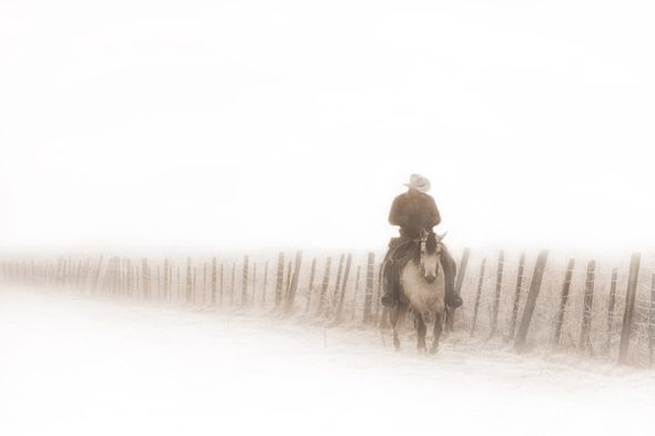 Robert Dawson 24 x 36 Open Edition Signed Giclee on Canvas:"Riding Fence"