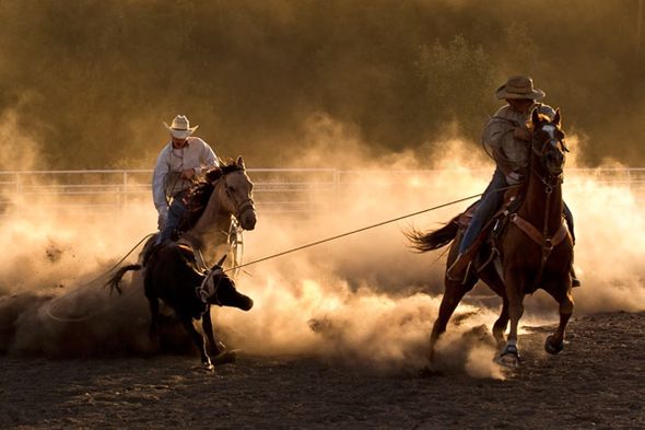 Robert Dawson 24 x 36 Open Edition Signed Giclee on Canvas:"Roping on the Ranch"