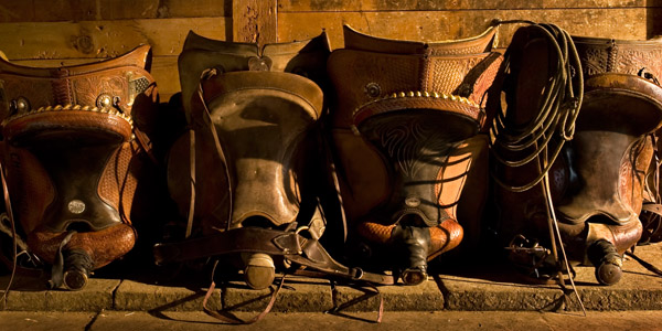 Robert Dawson 24 x 48 Open Edition Signed Giclee on Canvas:"Saddle Row"
