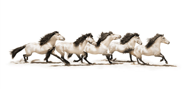 Robert Dawson 24 x 48 Open Edition Signed Giclee on Canvas:"The Buckskins"